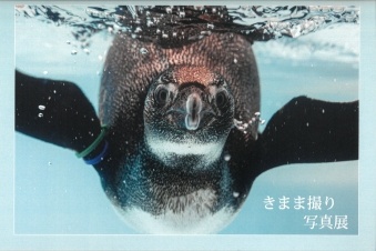 きまま撮り写真展